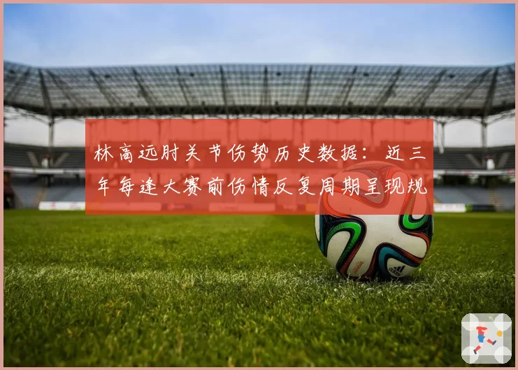 林高远肘关节伤势历史数据:近三年每逢大赛前伤情反复周期呈现规律性