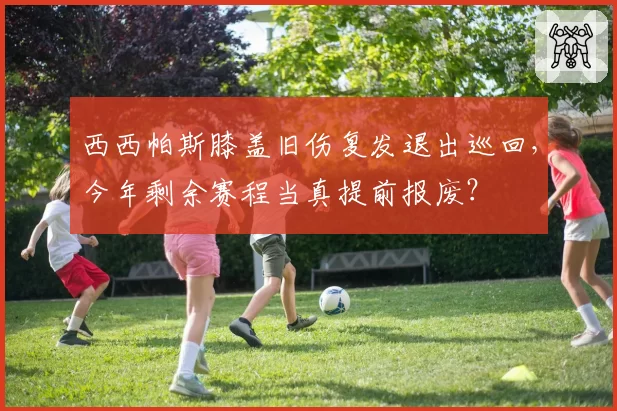 西西帕斯膝盖旧伤复发退出巡回,今年剩余赛程当真提前报废?